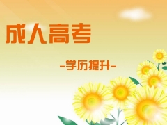 成考和自考有什么區(qū)別